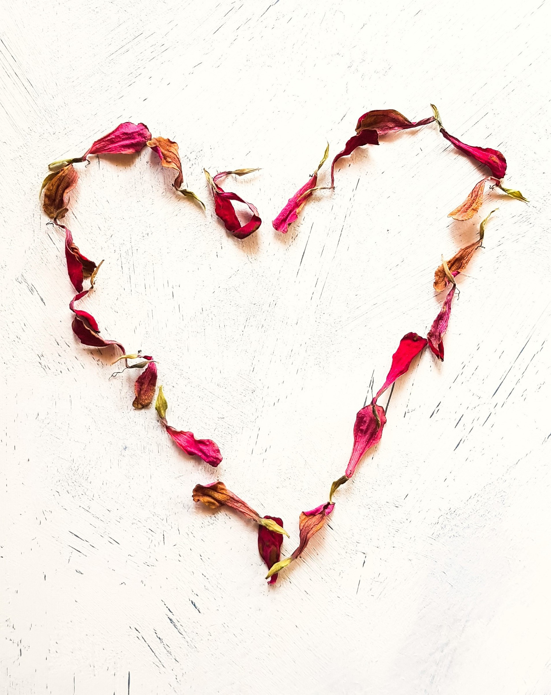 Love In Petals Cover Small